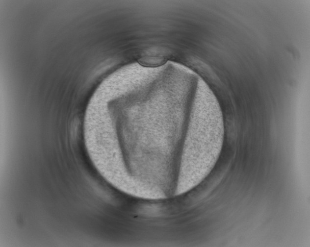X0000113540071200910161421