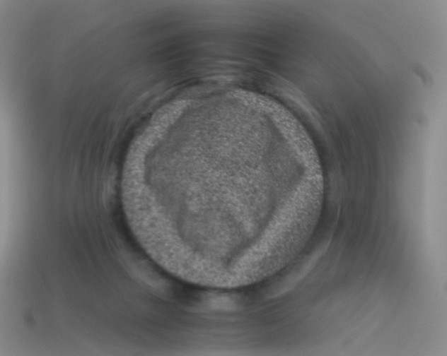 X0000113540073200910161421