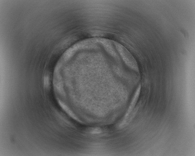 X0000113540074200910161421