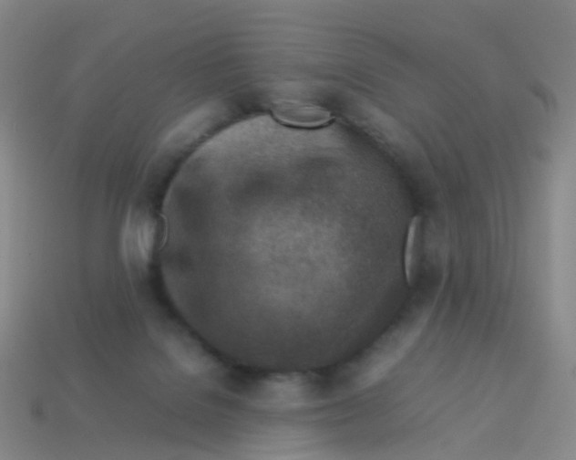 X0000113540076200910161421
