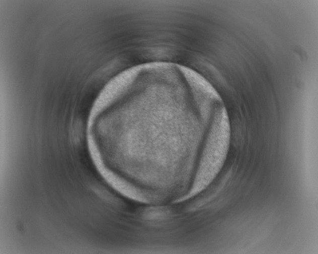 X0000113540077200910161421
