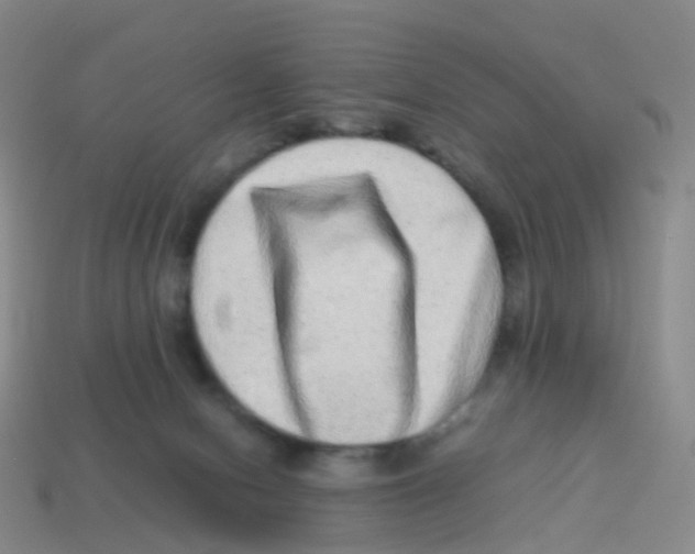 X0000113540078200910161421