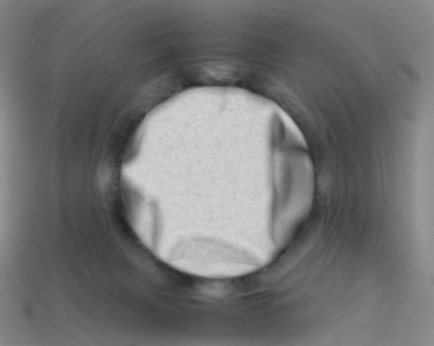 X0000113540079200910161421