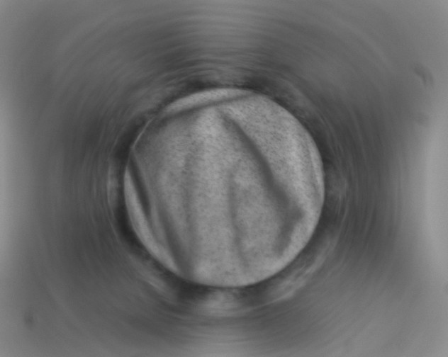 X0000113540080200910161421