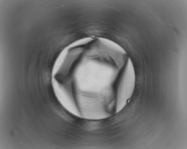 X0000113540081200910161421