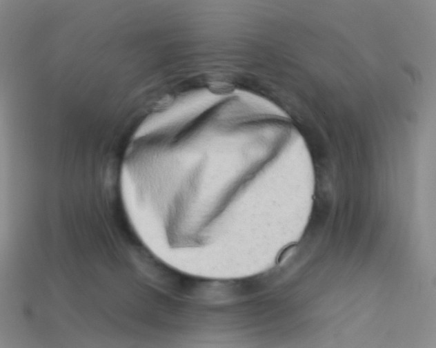 X0000113540082200910161421