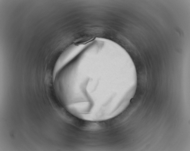 X0000113540083200910161421