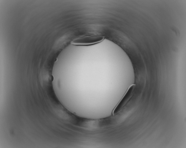 X0000113540084200910161421