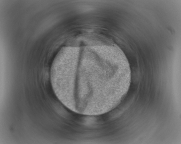 X0000113540085200910161421