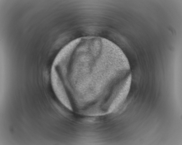 X0000113540086200910161421