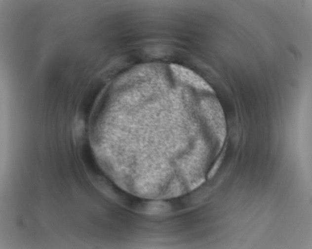 X0000113540087200910161421