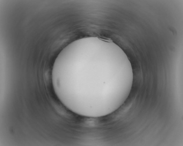 X0000113540088200910161421