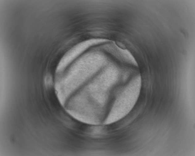 X0000113540089200910161421