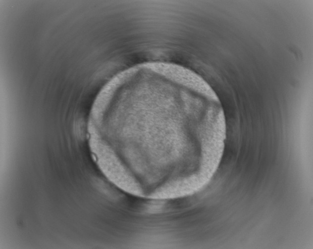 X0000113540090200910161421