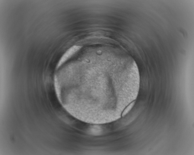 X0000113540091200910161421