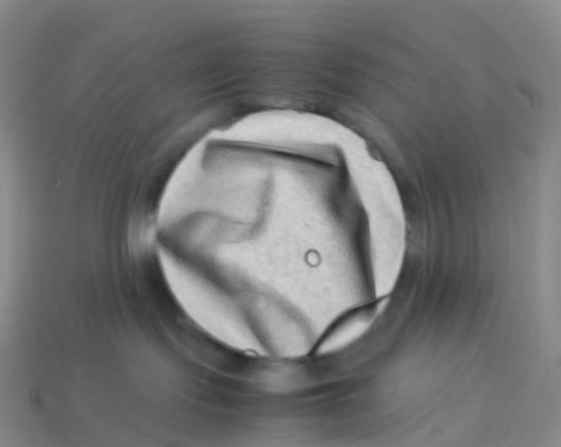 X0000113540095200910161421