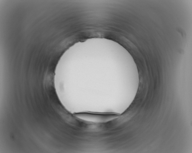 X0000113540096200910161421