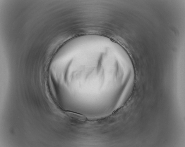 X0000113540097200910161421