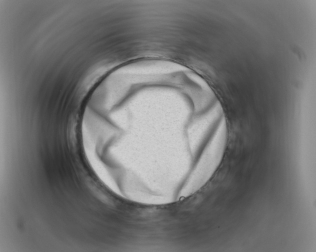 X0000113540098200910161421
