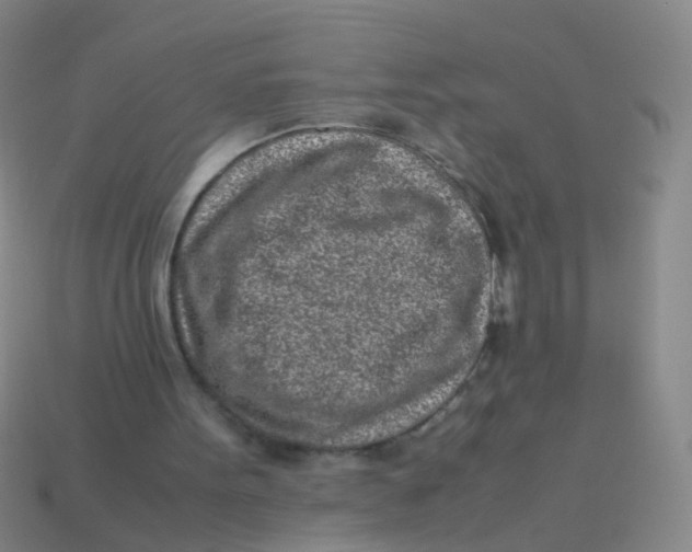 X0000113540099200910161421