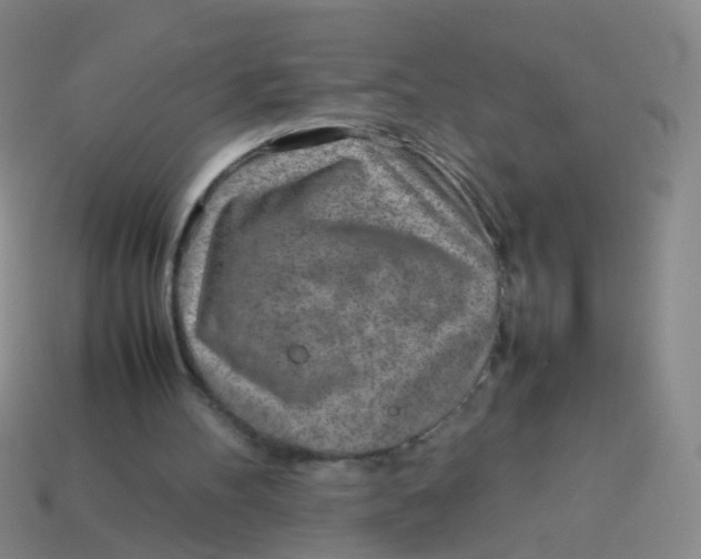 X0000113540100200910161421