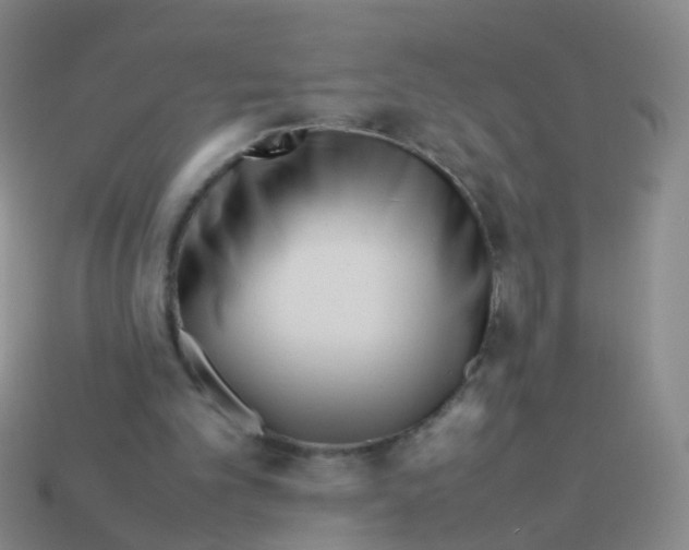 X0000113540101200910161421