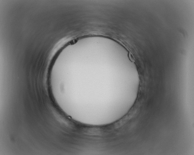 X0000113540104200910161421