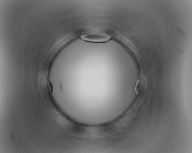 X0000113540105200910161421
