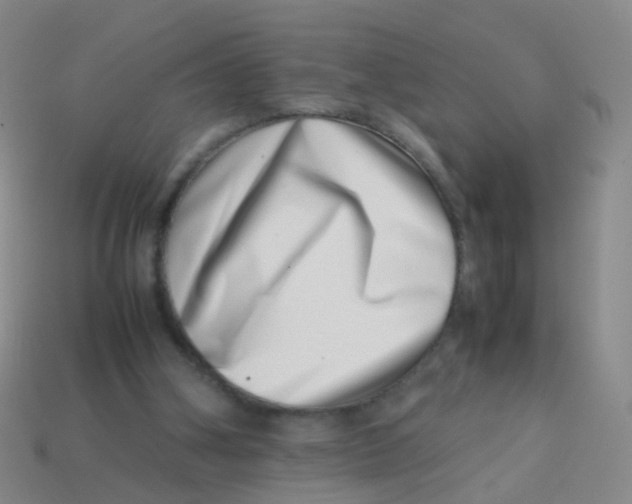 X0000113540106200910161421