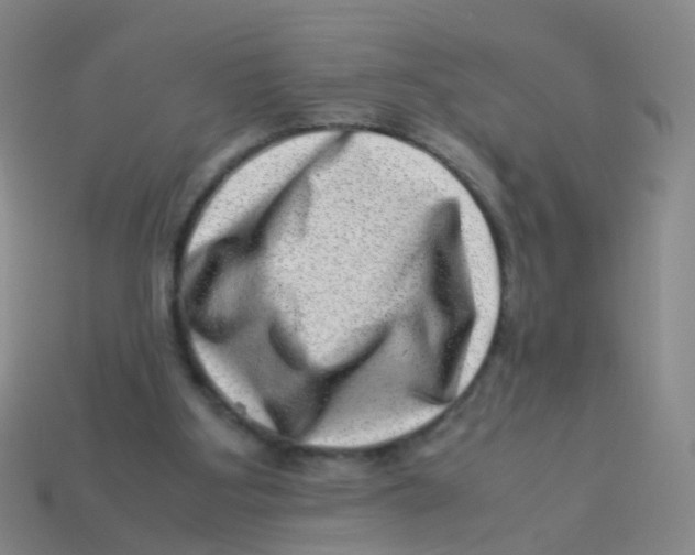 X0000113540107200910161421