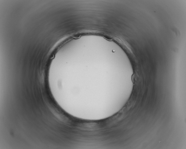 X0000113540108200910161420