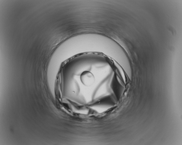 X0000113540109200910161420