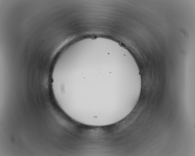 X0000113540112200910161420