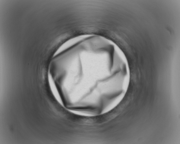 X0000113540115200910161420