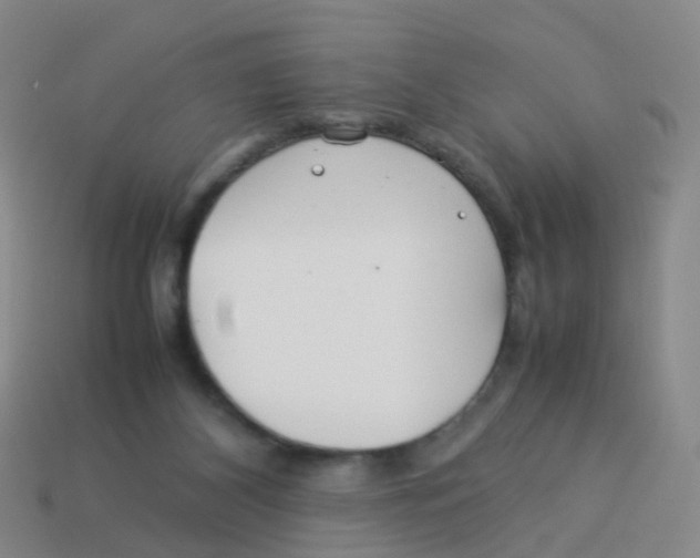 X0000113540116200910161420