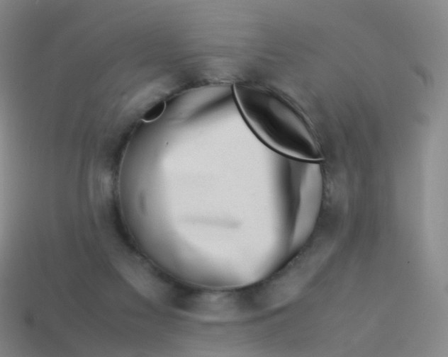 X0000113540117200910161420