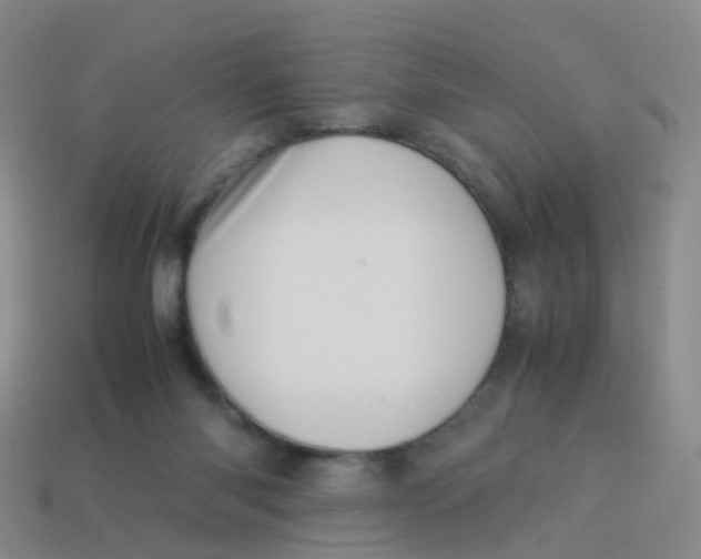 X0000113540118200910161420