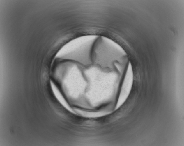 X0000113540119200910161420