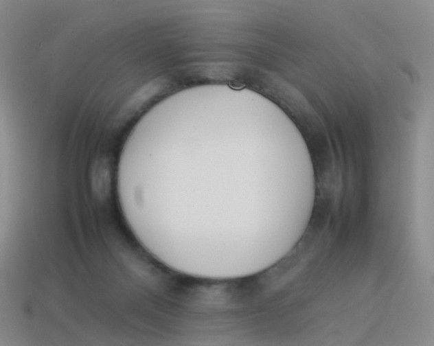 X0000113540120200910161420