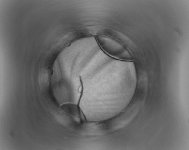 X0000113540121200910161420