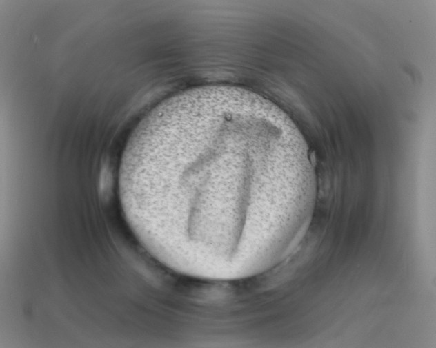 X0000113540124200910161420