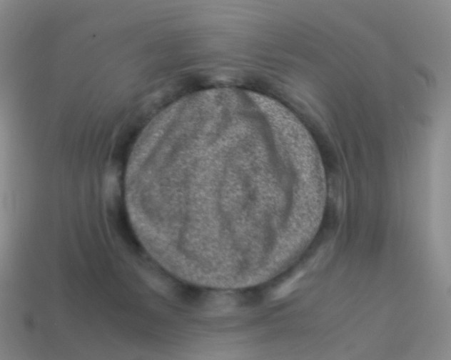 X0000113540127200910161420