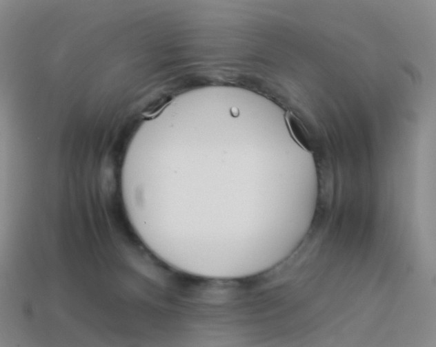 X0000113540128200910161420