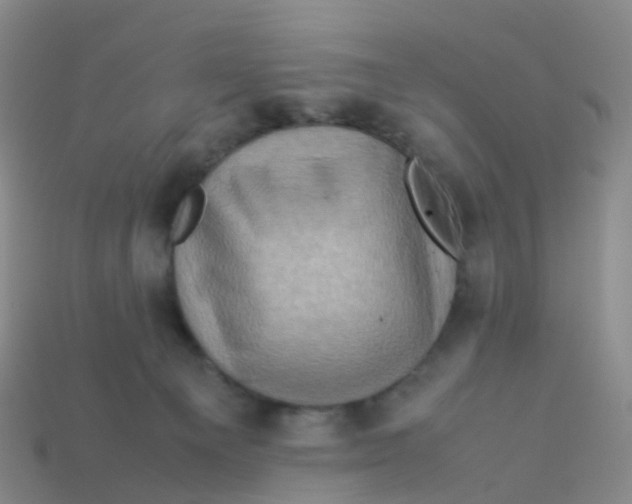 X0000113540129200910161420