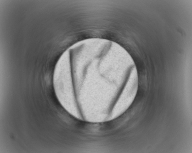 X0000113540131200910161420