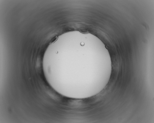 X0000113540132200910161420