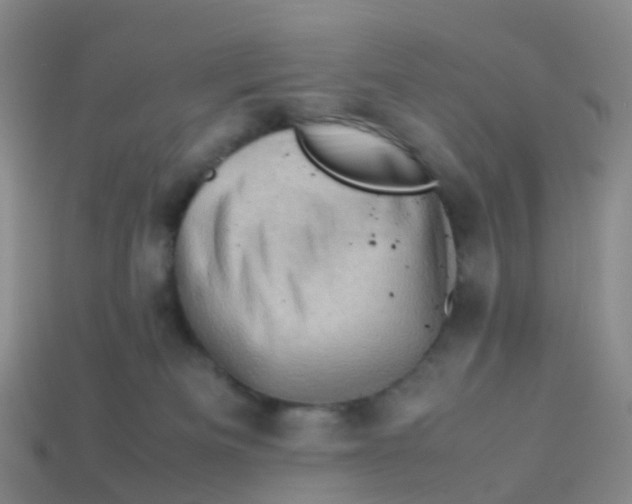 X0000113540133200910161420