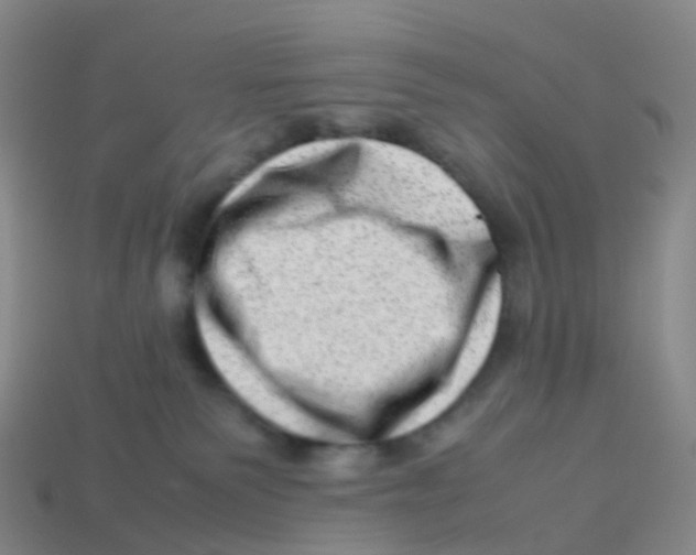 X0000113540135200910161420