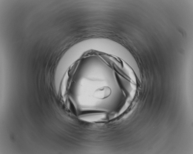 X0000113540136200910161420