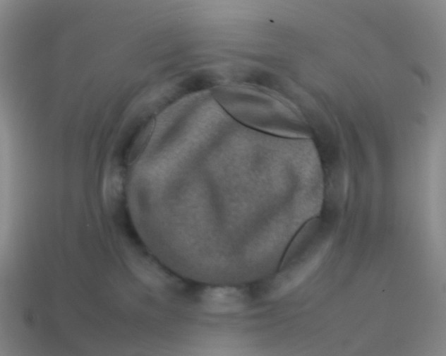 X0000113540137200910161420